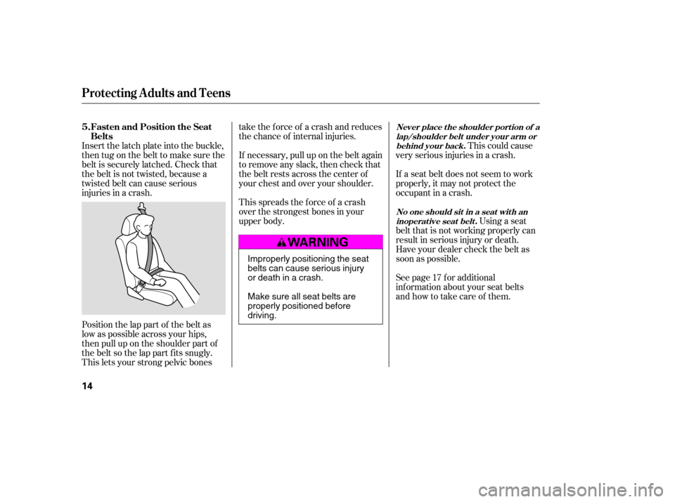 HONDA ACCORD COUPE 2007 CL7 / 7.G Owners Manual This could cause
very serious injuries in a crash.
Position the lap part of the belt as 
low as possible across your hips,
then pull up on the shoulder part of
the belt so the lap part f its snugly.
T