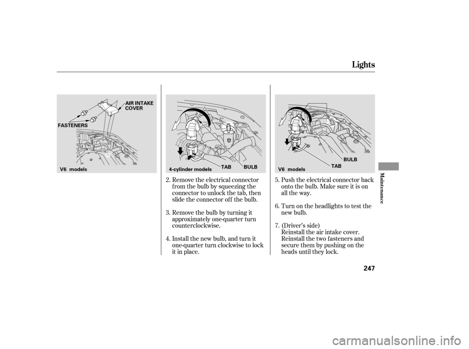 HONDA ACCORD COUPE 2007 CL7 / 7.G Owners Manual Remove the electrical connector 
f rom the bulb by squeezing the
connector to unlock the tab, then
slide the connector of f the bulb. 
Remove the bulb by turning it 
approximately one-quarter turn
cou