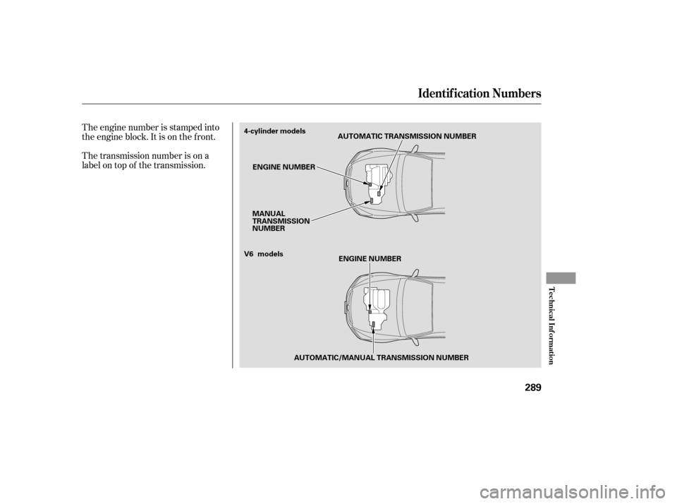 HONDA ACCORD COUPE 2007 CL7 / 7.G Manual PDF The transmission number is on a 
label on top of the transmission.
The engine number is stamped into
the engine block. It is on the f ront.
Identif ication Numbers
T echnical Inf ormation
289
AUTOMATI