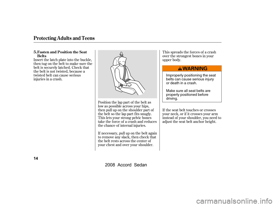 HONDA ACCORD COUPE 2008 8.G User Guide If the seat belt touches or crosses 
your neck, or if it crosses your arm
instead of your shoulder, you need to 
adjust the seat belt anchor height.
Insert the latch plate into the buckle,
then tug on