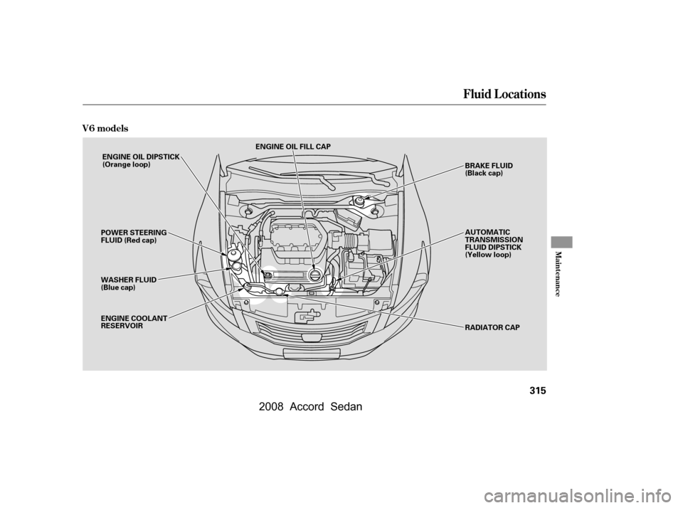 HONDA ACCORD COUPE 2008 8.G Owners Manual Fluid Locations
V6 models
Maint enance
315
ENGINE OIL FILL CAP
WASHER FLUID 
(Blue cap) ENGINE OIL DIPSTICK
(Orange loop)
ENGINE COOLANT
RESERVOIR BRAKE FLUID
(Black cap)
POWER STEERING
FLUID (Red cap