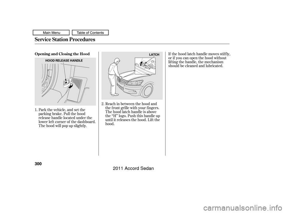 HONDA ACCORD COUPE 2011 8.G Owners Manual Park the vehicle, and set the
parking brake. Pull the hood
release handle located under the
lower lef t corner of the dashboard.
The hood will pop up slightly.Reach in between the hood and
the f ront 