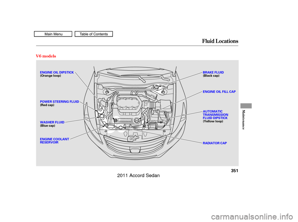 HONDA ACCORD COUPE 2011 8.G Owners Manual Fluid Locations
V6 models
Maint enance
351
BRAKE FLUID
(Black cap)
RADIATOR CAP
ENGINE OIL DIPSTICK
(Orange loop)
POWER STEERING FLUID
(Red cap)
WASHER FLUID
(Blue cap)
ENGINE COOLANT
RESERVOIR
ENGINE