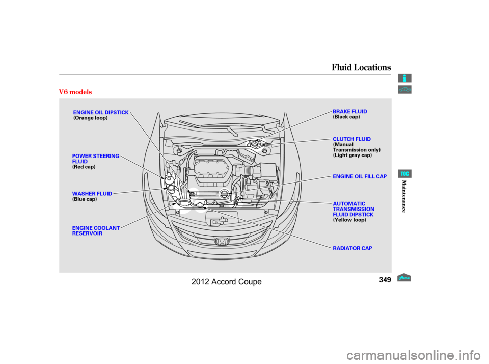 HONDA ACCORD COUPE 2012 8.G Owners Manual Fluid Locations
V6 models
349
ENGINE COOLANT
RESERVOIRRADIATOR CAP
ENGINE OIL DIPSTICK
(Orange loop)
WASHER FLUID
(Blue cap) BRAKE FLUID
(Black cap)
CLUTCH FLUID
(Manual
Transmission only)
(Light gray