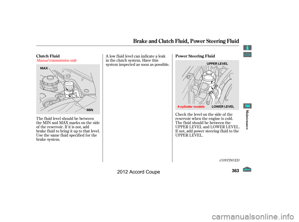 HONDA ACCORD COUPE 2012 8.G Owners Manual Check the level on the side of the
reservoir when the engine is cold.
The f luid should be between the
UPPER LEVEL and LOWER LEVEL.
If not, add power steering f luid to the
UPPER LEVEL.
The f luid lev