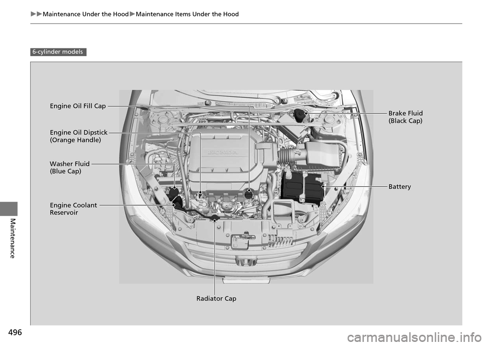 HONDA ACCORD COUPE 2014 9.G Owners Manual 496
uuMaintenance Under the Hood uMaintenance Items Under the Hood
Maintenance
6-cylinder models
Engine Oil Dipstick
(Orange Handle)
Washer Fluid
(Blue Cap)
Engine Coolant
Reservoir
Radiator Cap Br HONDA ACCORD COUPE 2014 9.G Owners Manual 496
uuMaintenance Under the Hood uMaintenance Items Under the Hood
Maintenance
6-cylinder models
Engine Oil Dipstick
(Orange Handle)
Washer Fluid
(Blue Cap)
Engine Coolant
Reservoir
Radiator Cap Br