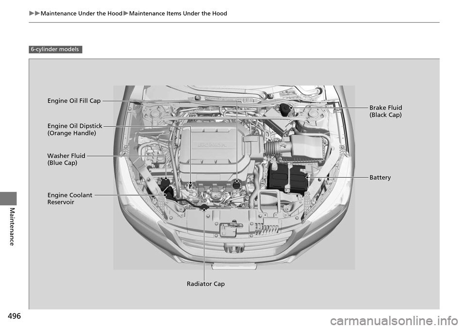 HONDA ACCORD COUPE 2014 9.G Owners Manual 496
uuMaintenance Under the Hood uMaintenance Items Under the Hood
Maintenance
6-cylinder models
Engine Oil Dipstick 
(Orange Handle)
Washer Fluid 
(Blue Cap)
Engine Coolant 
Reservoir
Radiator Cap Br