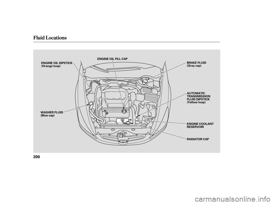 HONDA ACCORD HYBRID 2005 CL7 / 7.G Owners Manual Fluid Locations
200
ENGINE OIL FILL CAPRADIATOR CAP
ENGINE OIL DIPSTICK
(Orange loop)
WASHER FLUID
(Blue cap) BRAKE FLUID
(Gray cap)
AUTOMATIC
TRANSMISSION
FLUID DIPSTICK
(Yellow loop)
ENGINE COOLANT
