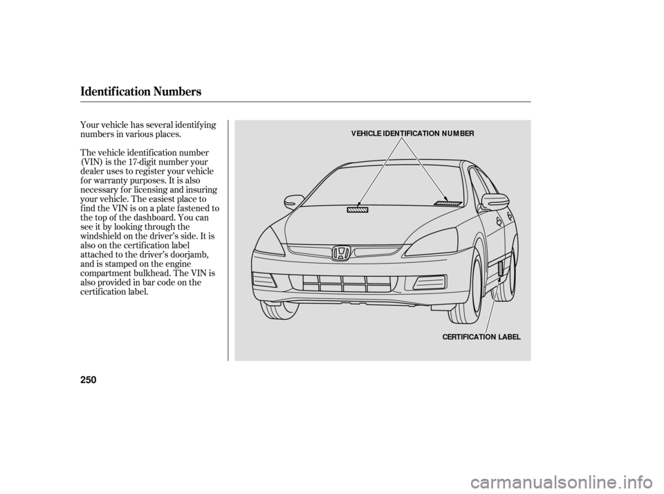 HONDA ACCORD HYBRID 2006 CL7 / 7.G User Guide Your vehicle has several identif ying
numbers in various places.
The vehicle identif ication number
(VIN) is the 17-digit number your
dealer uses to register your vehicle
f or warranty purposes. It is