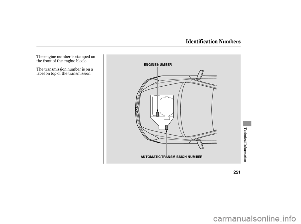 HONDA ACCORD HYBRID 2006 CL7 / 7.G Owners Manual The transmission number is on a
label on top of the transmission. The engine number is stamped on
the f ront of the engine block.
Identif ication Numbers
Technical Inf ormation
251
AUTOMATIC TRANSMISS