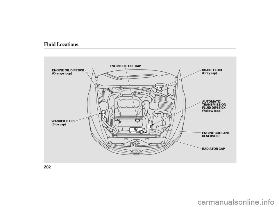HONDA ACCORD HYBRID 2007 CL7 / 7.G Owners Manual Fluid Locations
202
ENGINE OIL FILL CAPRADIATOR CAP
ENGINE OIL DIPSTICK
(Orange loop)
WASHER FLUID
(Blue cap) BRAKE FLUID
(Gray cap)
AUTOMATIC
TRANSMISSION
FLUID DIPSTICK
(Yellow loop)
ENGINE COOLANT
