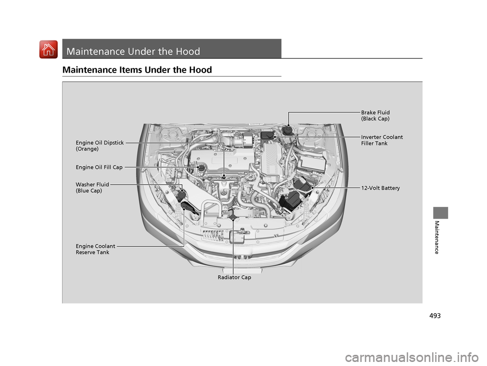 HONDA ACCORD HYBRID 2017 9.G Owners Manual 493
Maintenance
Maintenance Under the Hood
Maintenance Items Under the Hood
Brake Fluid 
(Black Cap)
Engine Coolant 
Reserve Tank Radiator Cap
Washer Fluid 
(Blue Cap) Engine Oil Dipstick 
(Orange)
En