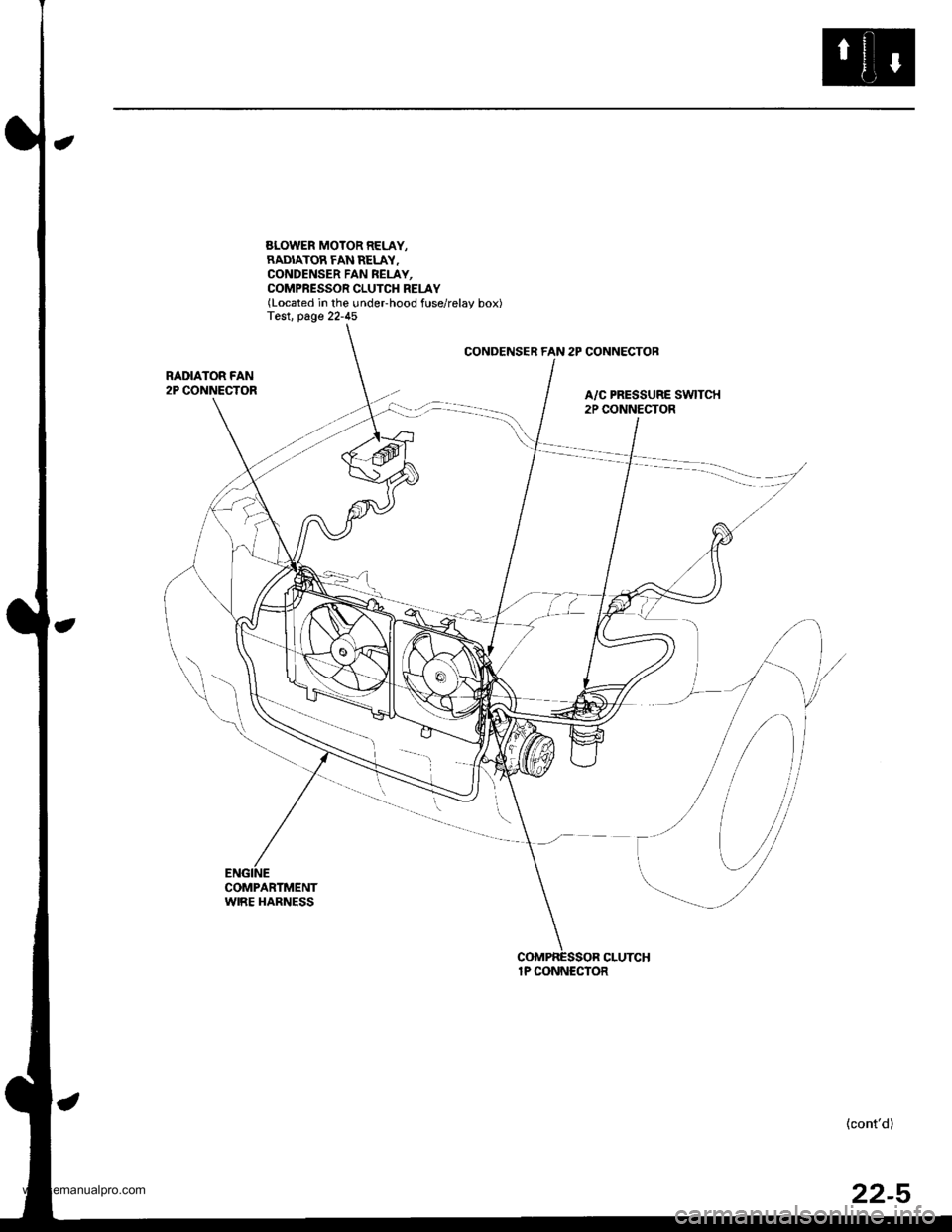 HONDA CR-V 1999 RD1-RD3 / 1.G Workshop Manual 
SLOWER MOTOR RELAY,RADIATOR FAN RELAY.CONDENSER FAN REI-AY,COMPRESSOR CLUTCH RELAY(Located in the undeFhood fuse/relay box)Test. page 22-45
CONDENSER FAN 2P CONNECTOB
RADIATOR FAN2P CONNECTORA/C PRES