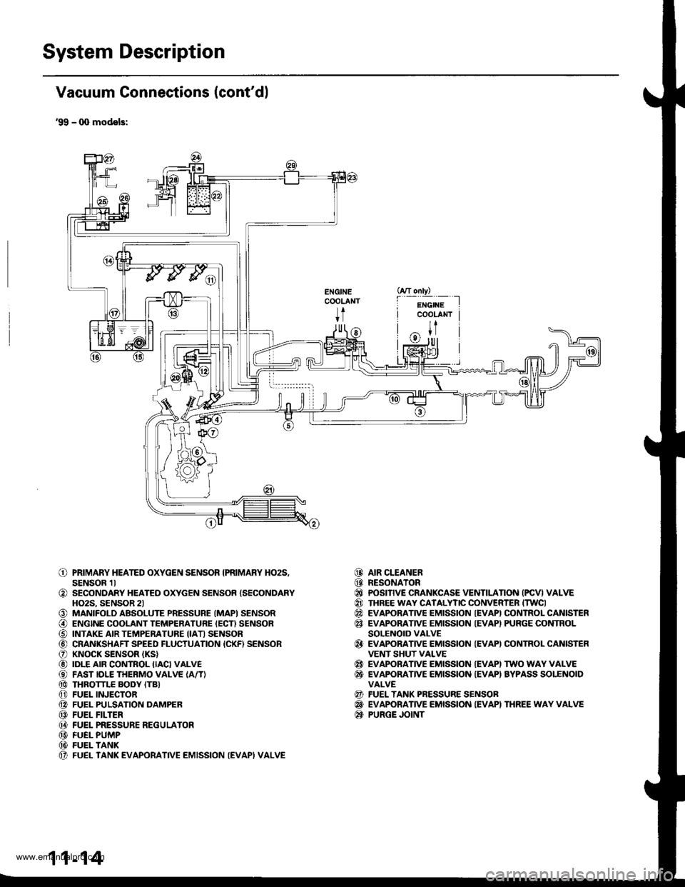 HONDA CR-V 2000 RD1-RD3 / 1.G User Guide 
System Description
Vacuum Connections (contdl
99 - q) models:
ENGINECOOLANT
t
o
o
o@
o@@@@@@@@@(t
PRIMARY HEATED OXYGEN SENSOR IPRIMARY HO2S,SENSOR 1lSECONDARY HEATED OXYGEN SENSOR {SECONDARYHO2S. 