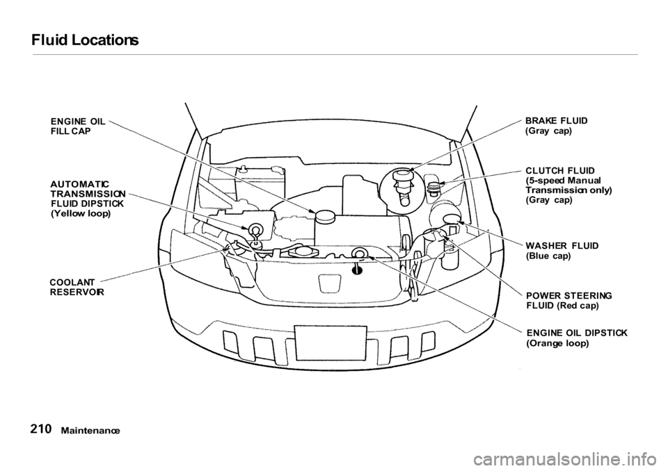 HONDA CR-V 2001 RD1-RD3 / 1.G Owners Manual
Flui
d Location s
ENGIN E OI L
FIL L CA P
AUTOMATI C
TRANSMISSIO N
FLUI D DIPSTIC K
(Yello w loop )
COOLAN T
RESERVOI R BRAK
E FLUI D
(Gra y cap )
CLUTC H FLUI D
(5-spee d Manua l
Transmiss HONDA CR-V 2001 RD1-RD3 / 1.G Owners Manual
Flui
d Location s
ENGIN E OI L
FIL L CA P
AUTOMATI C
TRANSMISSIO N
FLUI D DIPSTIC K
(Yello w loop )
COOLAN T
RESERVOI R BRAK
E FLUI D
(Gra y cap )
CLUTC H FLUI D
(5-spee d Manua l
Transmiss