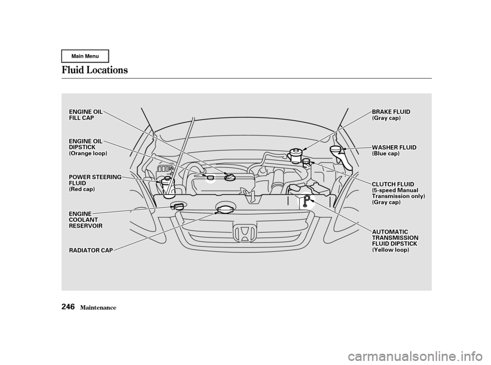 HONDA CR-V 2002 RD4-RD7 / 2.G Owners Manual Fluid Locations
Maint enance246
E
EN
NG GIINNE E O
OIILL
D
D I
IPP S
ST TI
ICCK K
(
( O
Or raan n g
ge
e l
loo o
op
p)
)
P
P O
OW WE ER
R S
STTE
EE
ER
RI INNG G
F
FL LUUI IDD
(
( R
Re edd c
caap p )
)