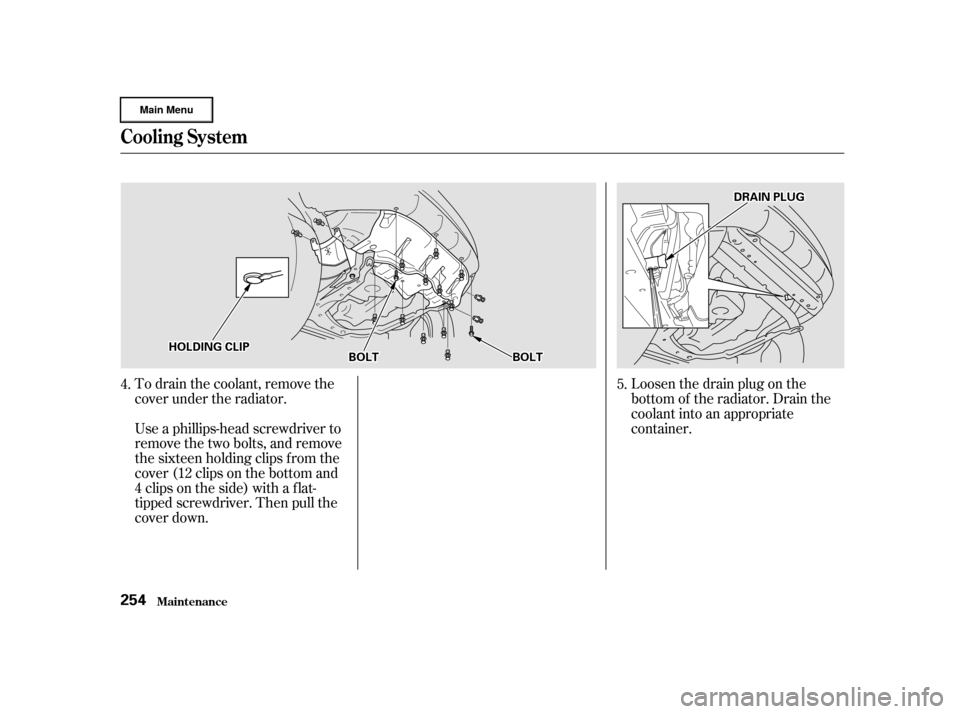 HONDA CR-V 2002 RD4-RD7 / 2.G Owners Manual To drain the coolant, remove the
cover under the radiator.Loosen the drain plug on the
bottom of the radiator. Drain the
coolant into an appropriate
container.
Use a phillips-head screwdriver to
remov