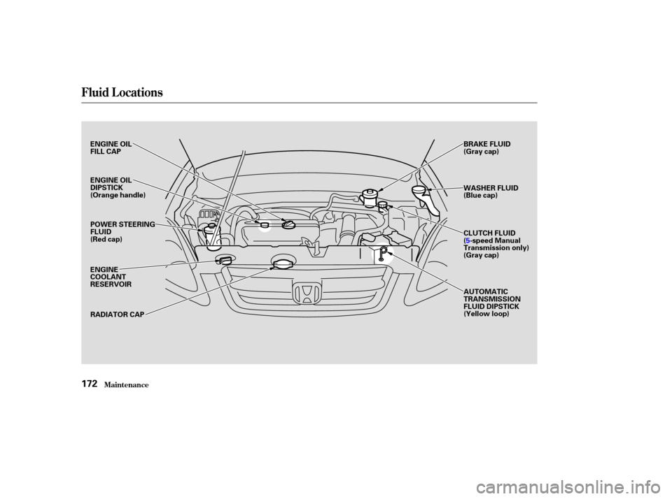 HONDA CR-V 2004 RD4-RD7 / 2.G Owners Manual Fluid Locations
Maint enance172
ENGINE OIL
FILL CAP
POWER STEERING
FLUID
(Red cap)
ENGINE
COOLANT
RESERVOIRRADIATOR CAP BRAKE FLUID
(Gray cap)
WASHER FLUID
(Blue cap)
CLUTCH FLUID
(5
-speed Manual
Tra