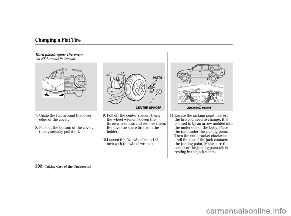 HONDA CR-V 2004 RD4-RD7 / 2.G Owners Manual Locate the jacking point nearest
thetireyouneedtochange.Itis
pointed to by an arrow molded into
the underside of the body. Place
the jack under the jacking point.
Turn the end bracket clockwise
until HONDA CR-V 2004 RD4-RD7 / 2.G Owners Manual Locate the jacking point nearest
thetireyouneedtochange.Itis
pointed to by an arrow molded into
the underside of the body. Place
the jack under the jacking point.
Turn the end bracket clockwise
until
