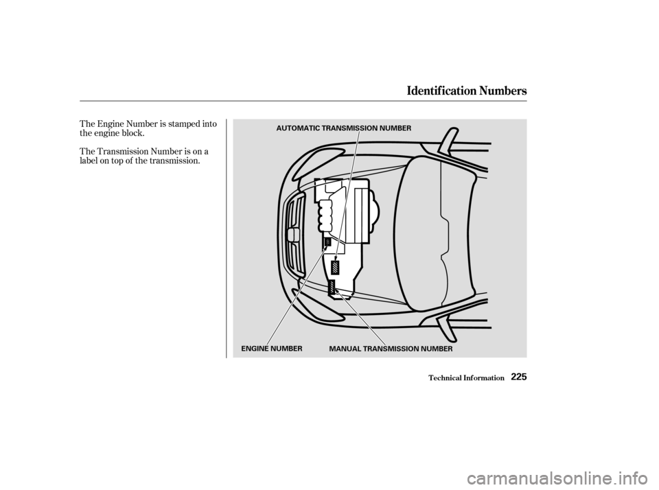 HONDA CR-V 2004 RD4-RD7 / 2.G Owners Manual The Engine Number is stamped into
the engine block.
The Transmission Number is on a
label on top of the transmission.
Identif ication Numbers
T echnical Inf ormation225
AUTOMATIC TRANSMISSION NUMBER
E