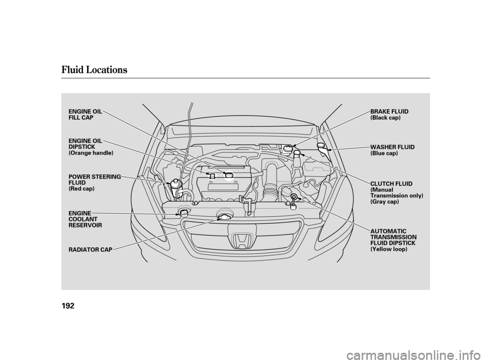 HONDA CR-V 2005 RD4-RD7 / 2.G Owners Manual Fluid Locations
192
ENGINE OIL FILL CAP 
POWER STEERING FLUID(Red cap) 
ENGINE COOLANTRESERVOIR 
RADIATOR CAP 
WASHER FLUID (Blue cap) 
AUTOMATIC TRANSMISSIONFLUID DIPSTICK(Yellow loop) 
ENGINE OIL DI