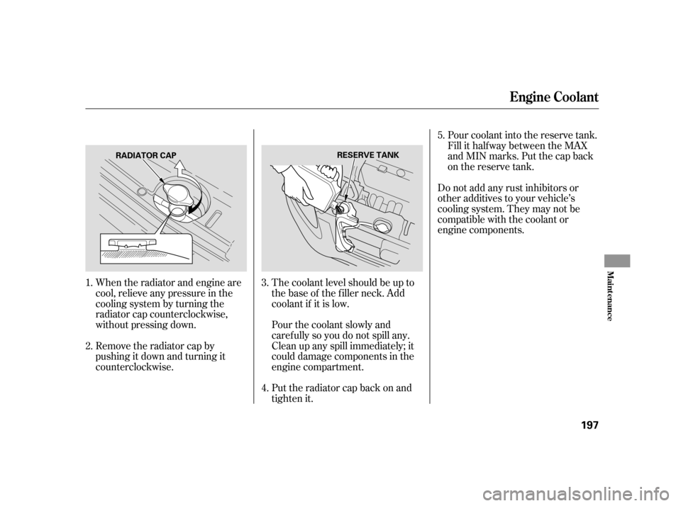 HONDA CR-V 2005 RD4-RD7 / 2.G Owners Manual When the radiator and engine are 
cool, relieve any pressure in the
cooling system by turning the
radiator cap counterclockwise,
without pressing down. 
The coolant level should be up to 
the base of 
