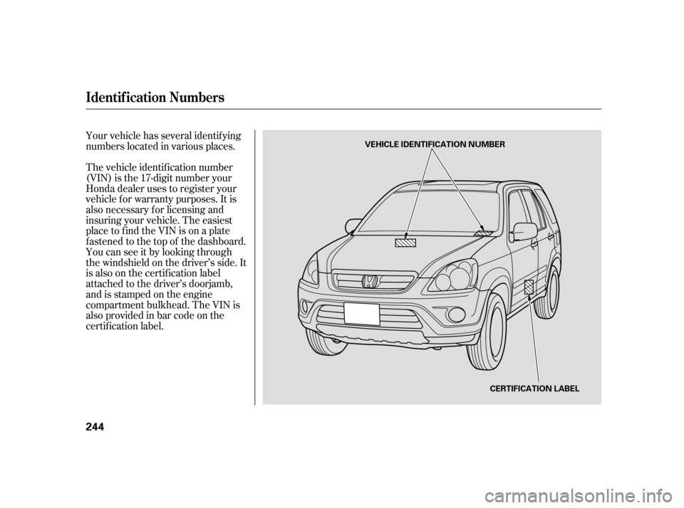 HONDA CR-V 2005 RD4-RD7 / 2.G Owners Manual Your vehicle has several identif ying 
numbers located in various places. 
The vehicle identif ication number 
(VIN) is the 17-digit number your
Honda dealer uses to register your
vehicle f or warrant