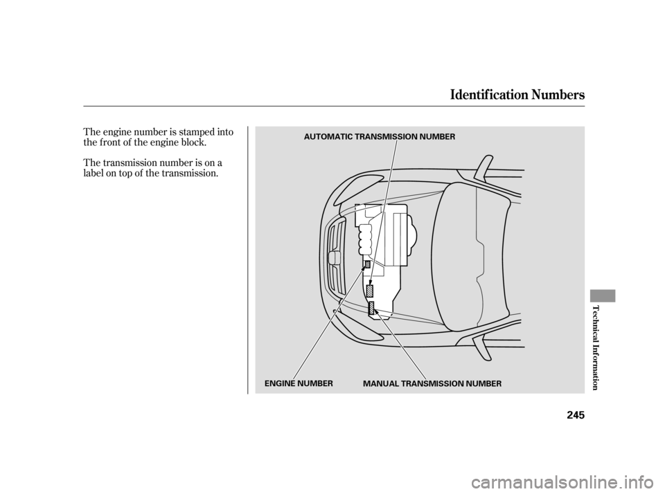 HONDA CR-V 2005 RD4-RD7 / 2.G Owners Manual The transmission number is on a 
label on top of the transmission. 
The engine number is stamped into 
the f ront of the engine block.
Identif ication Numbers
T echnical Inf ormation
245
AUTOMATIC TRA