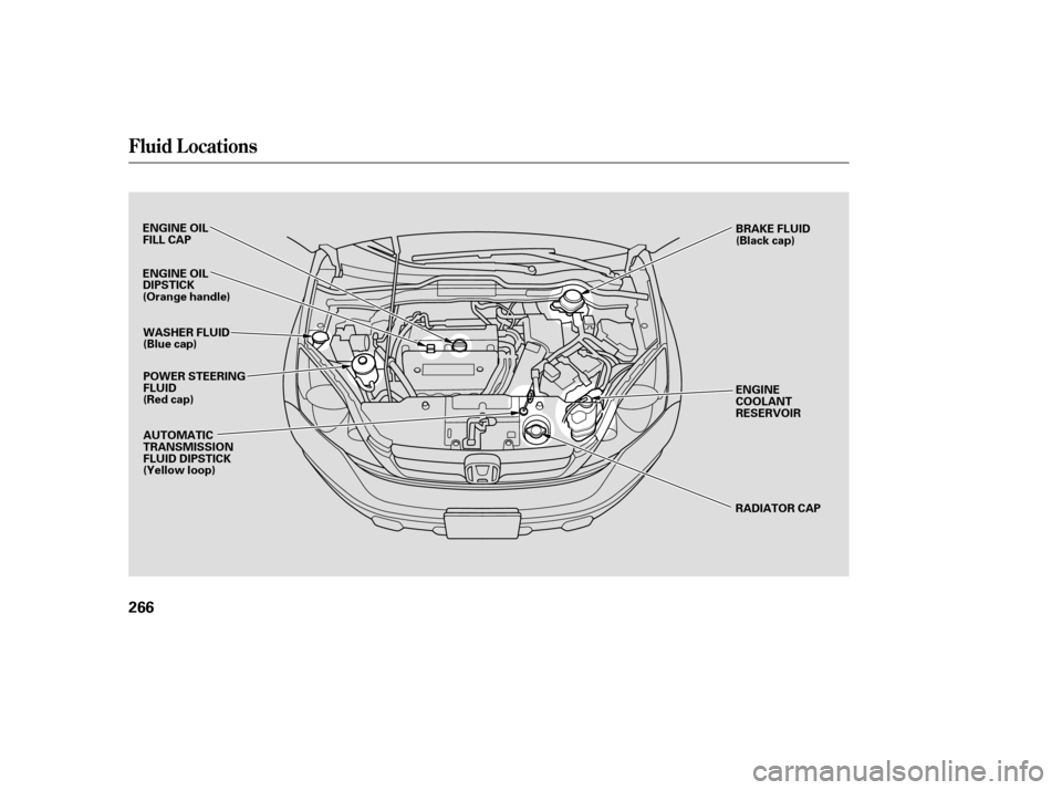 HONDA CR-V 2007 RD1-RD5, RE7 / 3.G Owners Manual Fluid Locations
266
ENGINE OIL
FILL CAPPOWER STEERING
FLUID
(Red cap) ENGINE
COOLANT
RESERVOIR
RADIATOR CAP
WASHER FLUID
(Blue cap)
AUTOMATIC
TRANSMISSION
FLUID DIPSTICK
(Yellow loop)
ENGINE OIL
DIPST