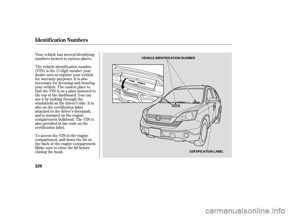 HONDA CR-V 2007 RD1-RD5, RE7 / 3.G User Guide Your vehicle has several identif ying
numbers located in various places.
The vehicle identif ication number
(VIN) is the 17-digit number your
dealer uses to register your vehicle
f or warranty purpose