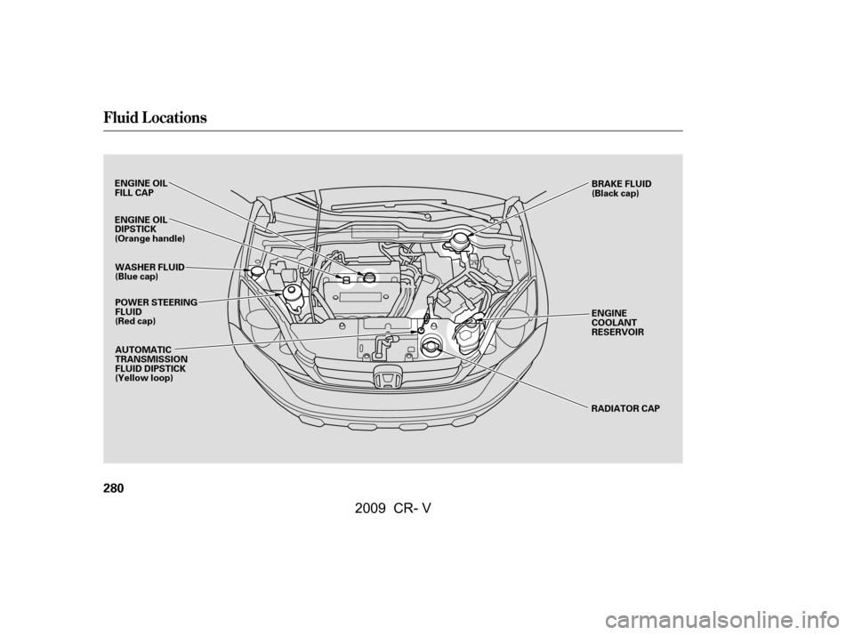 HONDA CR-V 2009 RD1-RD5, RE7 / 3.G Owners Manual Fluid Locations
280
ENGINE OIL 
FILL CAPPOWER STEERING
FLUID
(Red cap) ENGINE
COOLANT
RESERVOIR
RADIATOR CAP
WASHER FLUID
(Blue cap) 
AUTOMATIC 
TRANSMISSION
FLUID DIPSTICK
(Yellow loop)
ENGINE OIL
DI