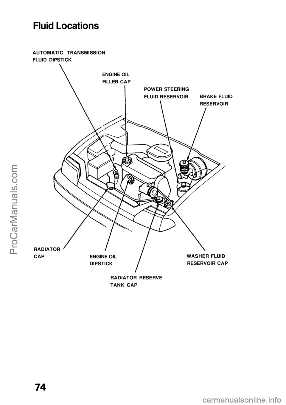 HONDA CIVIC 1991 Manual PDF Fluid Locations
AUTOMATIC TRANSMISSION
FLUID DIPSTICK ENGINE OILFILLER CAP
POWER STEERING
FLUID RESERVOIR
RADIATOR
CAP WASHER FLUID
RESERVOIR CAP
RADIATOR RESERVE
TANK CAP BRAKE FLUID
RESERVOIR
ENGINE HONDA CIVIC 1991 Manual PDF Fluid Locations
AUTOMATIC TRANSMISSION
FLUID DIPSTICK ENGINE OILFILLER CAP
POWER STEERING
FLUID RESERVOIR
RADIATOR
CAP WASHER FLUID
RESERVOIR CAP
RADIATOR RESERVE
TANK CAP BRAKE FLUID
RESERVOIR
ENGINE