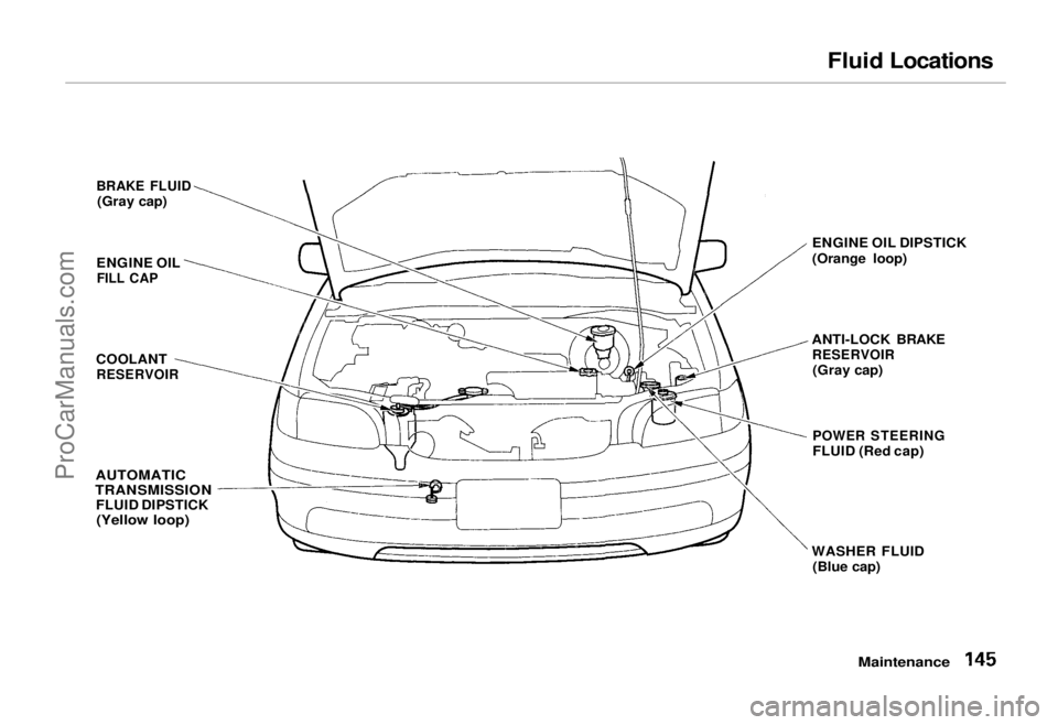 HONDA ODYSSEY 1995 Owners Manual
Fluid Locations
BRAKE FLUID
(Gray cap)
ENGINE OIL
FILL CAP
COOLANT
RESERVOIR
AUTOMATIC
TRANSMISSION
FLUID DIPSTICK
(Yellow loop)
ENGINE OIL DIPSTICK
(Orange loop)
ANTI-LOCK BRAKE
RESERVOIR
( HONDA ODYSSEY 1995 Owners Manual
Fluid Locations
BRAKE FLUID
(Gray cap)
ENGINE OIL
FILL CAP
COOLANT
RESERVOIR
AUTOMATIC
TRANSMISSION
FLUID DIPSTICK
(Yellow loop)
ENGINE OIL DIPSTICK
(Orange loop)
ANTI-LOCK BRAKE
RESERVOIR
(