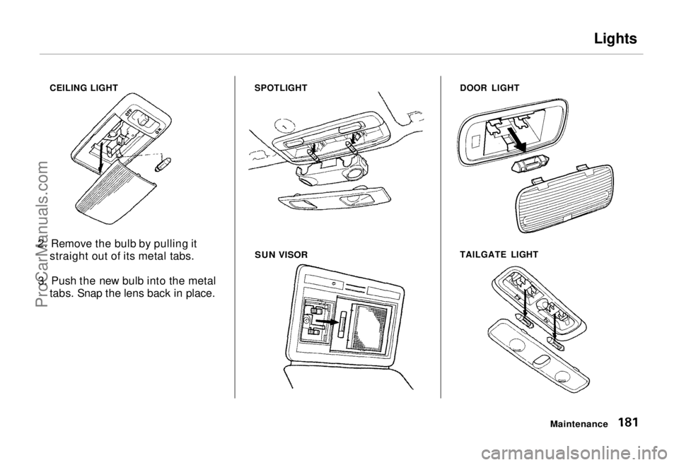 HONDA ODYSSEY 1995 Owners Manual Lights
CEILING LIGHT SPOTLIGHT
2. Remove the bulb by pulling it straight out of its metal tabs.
3. Push the new bulb into the metal tabs. Snap the lens back in place.
SUN VISOR
DOOR LIGHT
TAILGATE LI HONDA ODYSSEY 1995 Owners Manual Lights
CEILING LIGHT SPOTLIGHT
2. Remove the bulb by pulling it straight out of its metal tabs.
3. Push the new bulb into the metal tabs. Snap the lens back in place.
SUN VISOR
DOOR LIGHT
TAILGATE LI