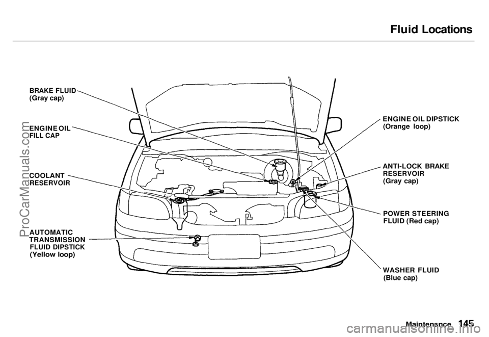 HONDA ODYSSEY 1996  Owners Manual 
Fluid Locations

Maintenance

BRAKE FLUID

(Gray cap)
ENGINE OIL
 FILL CAP

COOLANT
 RESERVOIR

AUTOMATIC
TRANSMISSION
 FLUID DIPSTICK

(Yellow loop)
 ENGINE OIL DIPSTICK
(Orange loop)
ANTI-LOCK BRAK