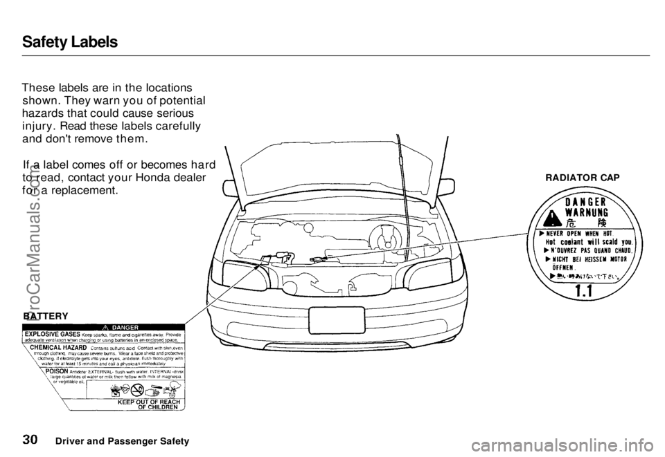 HONDA ODYSSEY 1996 Owners Guide Safety Labels
These labels are in the locations shown. They warn you of potential
hazards that could cause serious injury. Read these labels carefully
and don't remove them.
If a label comes off HONDA ODYSSEY 1996 Owners Guide Safety Labels
These labels are in the locations shown. They warn you of potential
hazards that could cause serious injury. Read these labels carefully
and don't remove them.
If a label comes off