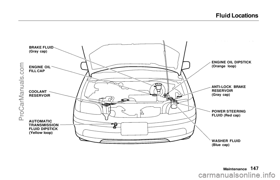 HONDA ODYSSEY 1997  Owners Manual 
Fluid Locations

Maintenance

BRAKE FLUID
(Gray cap)
ENGINE OIL
FILL CAP
COOLANT
 RESERVOIR

AUTOMATIC
TRANSMISSION
 FLUID DIPSTICK
(Yellow loop)
 ENGINE OIL DIPSTICK
(Orange loop)
ANTI-LOCK BRAKE
 R
