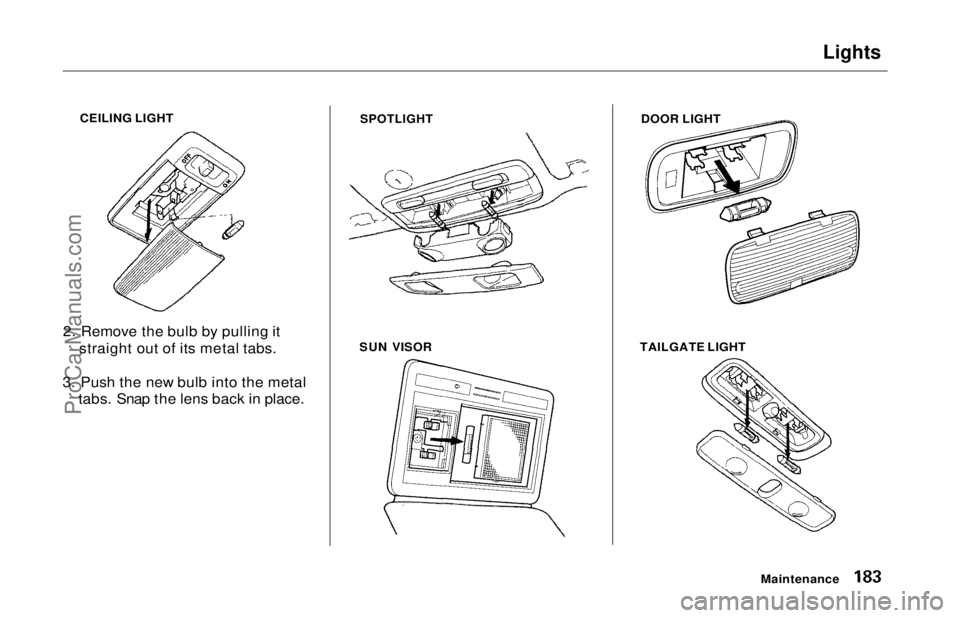 HONDA ODYSSEY 1997 Owners Manual Lights
CEILING LIGHT
2. Remove the bulb by pulling it straight out of its metal tabs.
3. Push the new bulb into the metal tabs. Snap the lens back in place.
SPOTLIGHT
SUN VISOR DOOR LIGHT
TAILGATE HONDA ODYSSEY 1997 Owners Manual Lights
CEILING LIGHT
2. Remove the bulb by pulling it straight out of its metal tabs.
3. Push the new bulb into the metal tabs. Snap the lens back in place.
SPOTLIGHT
SUN VISOR DOOR LIGHT
TAILGATE