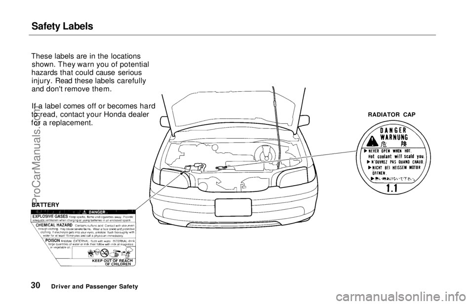 HONDA ODYSSEY 1997 Owners Guide Safety Labels
These labels are in the locations shown. They warn you of potential
hazards that could cause serious injury. Read these labels carefully
and don't remove them.
If a label comes off HONDA ODYSSEY 1997 Owners Guide Safety Labels
These labels are in the locations shown. They warn you of potential
hazards that could cause serious injury. Read these labels carefully
and don't remove them.
If a label comes off