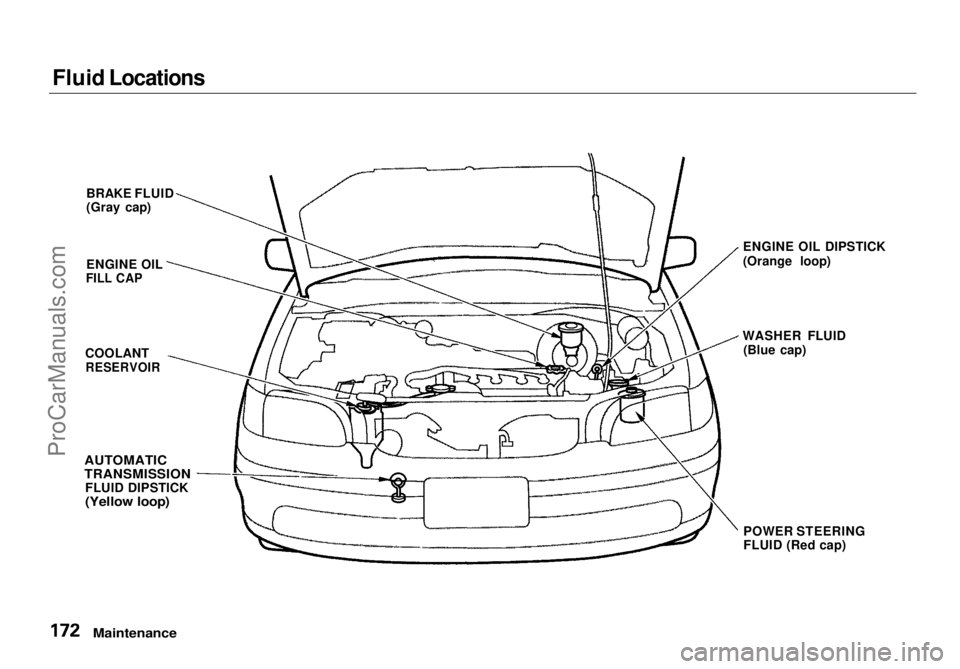 HONDA ODYSSEY 1998 Owners Manual Fluid Locations
Maintenance
BRAKE FLUID
(Gray cap)
ENGINE OIL
FILL CAP
COOLANT
RESERVOIR
POWER STEERING
FLUID (Red cap)
AUTOMATIC
TRANSMISSION
FLUID DIPSTICK
(Yellow loop)
WASHER FLUID
(Blue HONDA ODYSSEY 1998 Owners Manual Fluid Locations
Maintenance
BRAKE FLUID
(Gray cap)
ENGINE OIL
FILL CAP
COOLANT
RESERVOIR
POWER STEERING
FLUID (Red cap)
AUTOMATIC
TRANSMISSION
FLUID DIPSTICK
(Yellow loop)
WASHER FLUID
(Blue