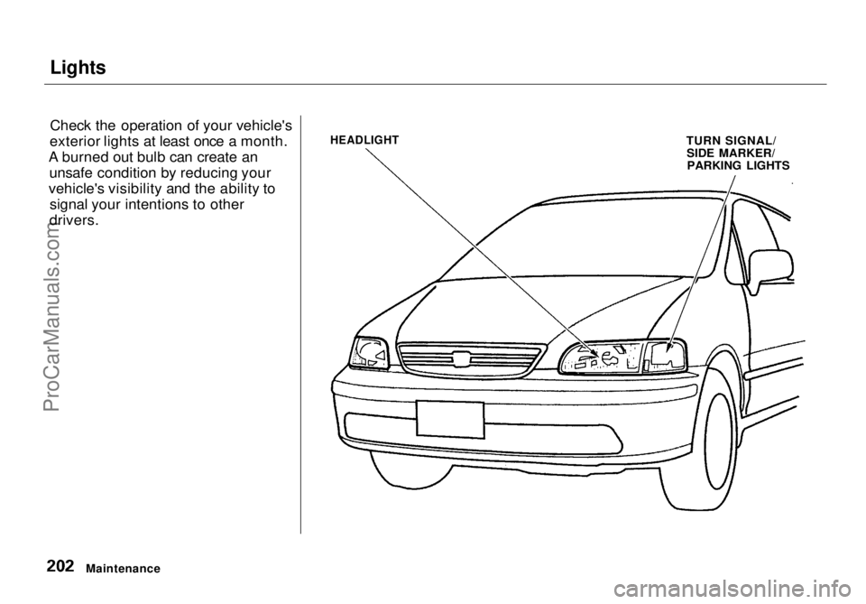 HONDA ODYSSEY 1998 Owners Manual Lights
Check the operation of your vehicle's
exterior lights at least once a month.
A burned out bulb can create an unsafe condition by reducing your
vehicle's visibility and the ability to s HONDA ODYSSEY 1998 Owners Manual Lights
Check the operation of your vehicle's
exterior lights at least once a month.
A burned out bulb can create an unsafe condition by reducing your
vehicle's visibility and the ability to s