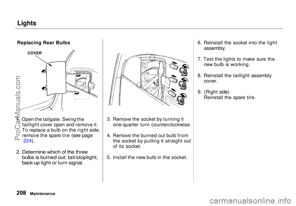 HONDA ODYSSEY 1998 Owners Manual Lights
1. Open the tailgate. Swing the taillight cover open and remove it.
To replace a bulb on the right side, remove the spare tire (see page 224).
2. Determine which of the three bulbs is burned HONDA ODYSSEY 1998 Owners Manual Lights
1. Open the tailgate. Swing the taillight cover open and remove it.
To replace a bulb on the right side, remove the spare tire (see page 224).
2. Determine which of the three bulbs is burned