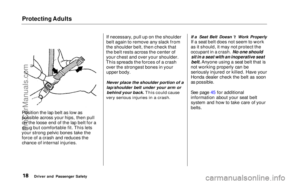 HONDA ODYSSEY 1999 User Guide Protecting Adults

Position the lap belt as low as
possible across your hips, then pull
on the loose end of the lap belt for a snug but comfortable fit. This lets
your strong pelvic bones take the for