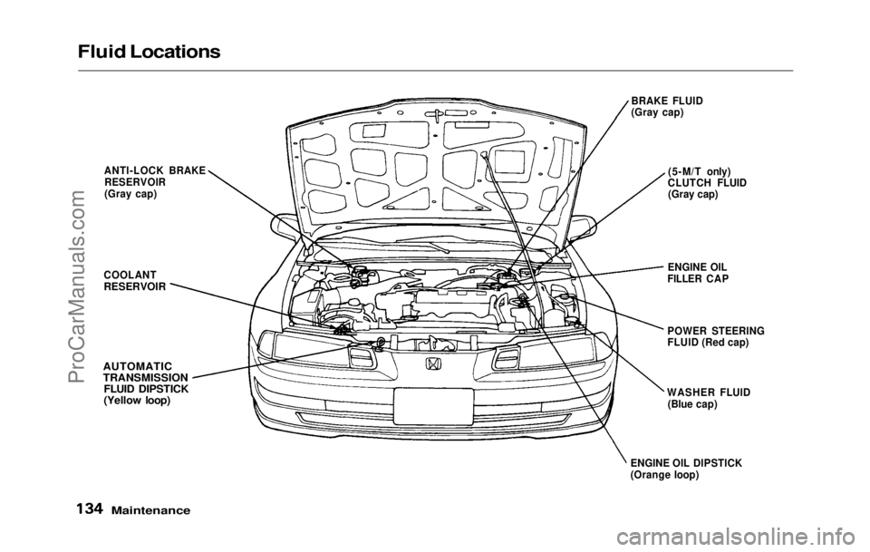 HONDA PRELUDE 1992 Owners Manual
Fluid Locations
Maintenance
BRAKE FLUID
(Gray cap)
(5-M/T only)
CLUTCH FLUID (Gray cap)
ENGINE OIL
FILLER CAP
POWER STEERING
FLUID (Red cap)
ANTI-LOCK BRAKE
RESERVOIR
(Gray cap)
COOLANT
RESERVOIR
HONDA PRELUDE 1992 Owners Manual
Fluid Locations
Maintenance
BRAKE FLUID
(Gray cap)
(5-M/T only)
CLUTCH FLUID (Gray cap)
ENGINE OIL
FILLER CAP
POWER STEERING
FLUID (Red cap)
ANTI-LOCK BRAKE
RESERVOIR
(Gray cap)
COOLANT
RESERVOIR