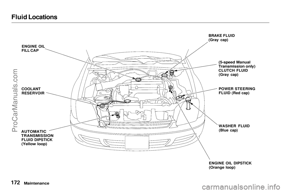 HONDA PRELUDE 1998 Owners Manual
Fluid Locations
ENGINE OIL
FILL CAP
COOLANT
RESERVOIR
AUTOMATIC
TRANSMISSION
FLUID DIPSTICK
(Yellow loop)
BRAKE FLUID
(Gray cap)
(5-speed Manual
Transmission only)
CLUTCH FLUID (Gray cap)
PO HONDA PRELUDE 1998 Owners Manual
Fluid Locations
ENGINE OIL
FILL CAP
COOLANT
RESERVOIR
AUTOMATIC
TRANSMISSION
FLUID DIPSTICK
(Yellow loop)
BRAKE FLUID
(Gray cap)
(5-speed Manual
Transmission only)
CLUTCH FLUID (Gray cap)
PO