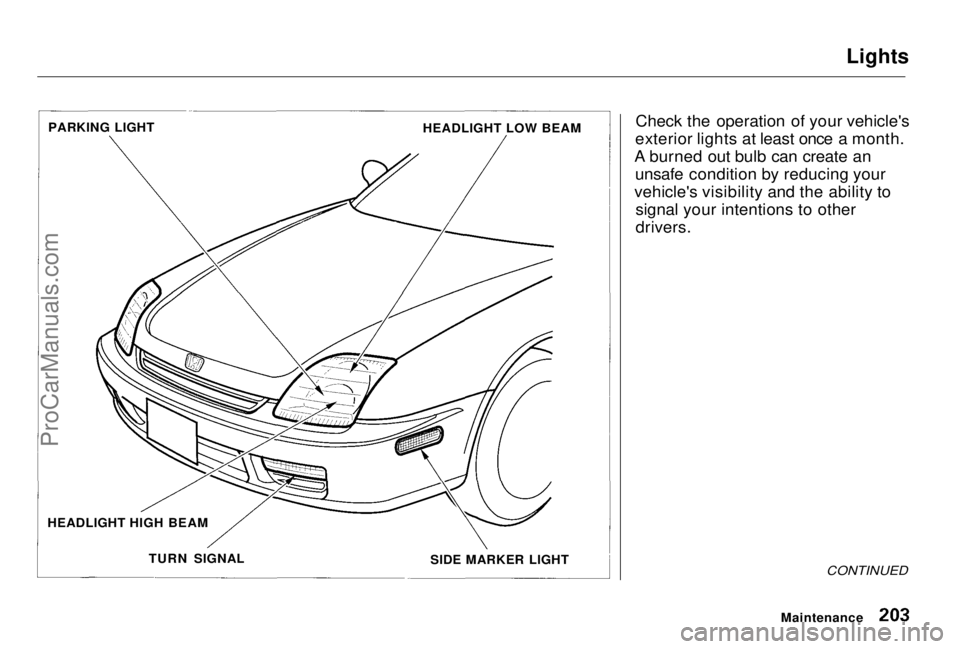 HONDA PRELUDE 1998 Owners Manual Lights
Check the operation of your vehicle's
exterior lights at least once a month.
A burned out bulb can create an unsafe condition by reducing your
vehicle's visibility and the ability to s HONDA PRELUDE 1998 Owners Manual Lights
Check the operation of your vehicle's
exterior lights at least once a month.
A burned out bulb can create an unsafe condition by reducing your
vehicle's visibility and the ability to s