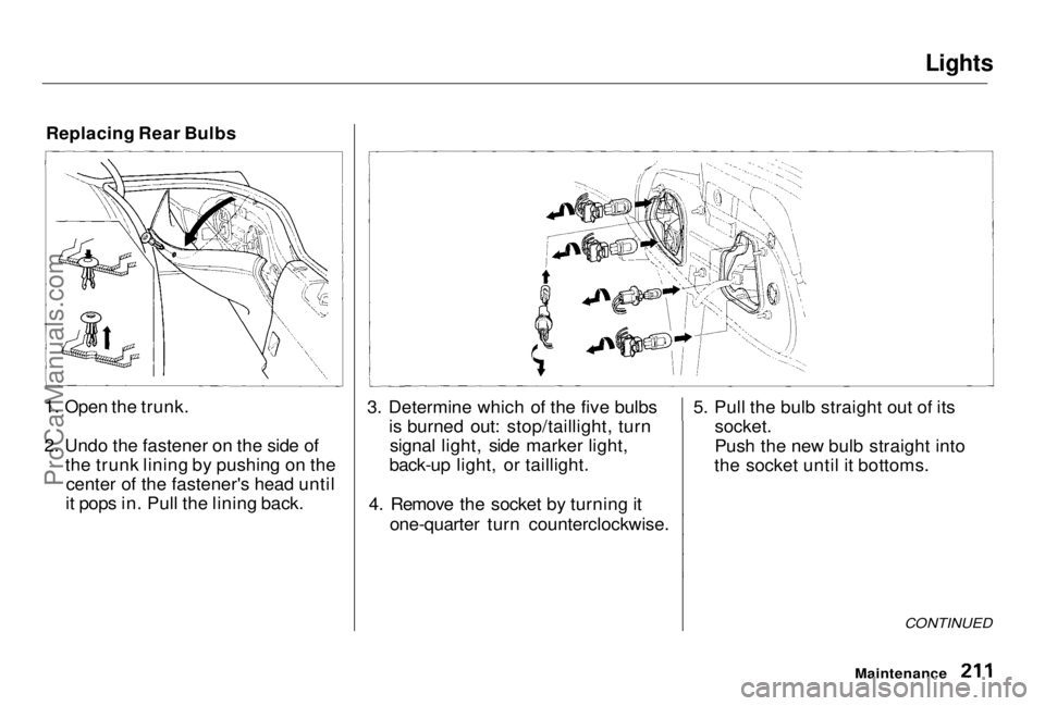HONDA PRELUDE 1998 Owners Manual Lights
Replacing Rear Bulbs
1. Open the trunk.
2. Undo the fastener on the side of the trunk lining by pushing on thecenter of the fastener's head until
it pops in. Pull the lining back. 3. Deter HONDA PRELUDE 1998 Owners Manual Lights
Replacing Rear Bulbs
1. Open the trunk.
2. Undo the fastener on the side of the trunk lining by pushing on thecenter of the fastener's head until
it pops in. Pull the lining back. 3. Deter
