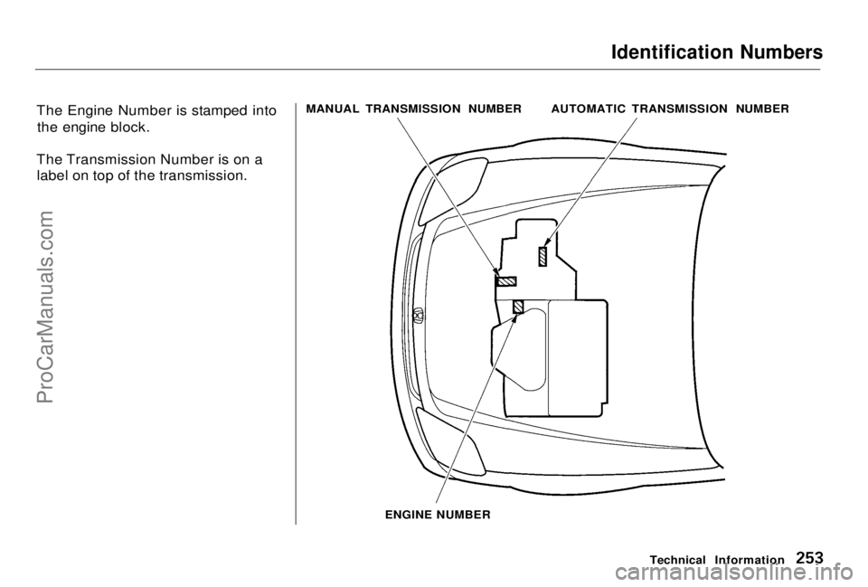 HONDA PRELUDE 1998 Owners Manual
Identification Numbers
The Engine Number is stamped into the engine block.
The Transmission Number is on a label on top of the transmission. MANUAL TRANSMISSION NUMBER
ENGINE NUMBER Technical Inform HONDA PRELUDE 1998 Owners Manual
Identification Numbers
The Engine Number is stamped into the engine block.
The Transmission Number is on a label on top of the transmission. MANUAL TRANSMISSION NUMBER
ENGINE NUMBER Technical Inform