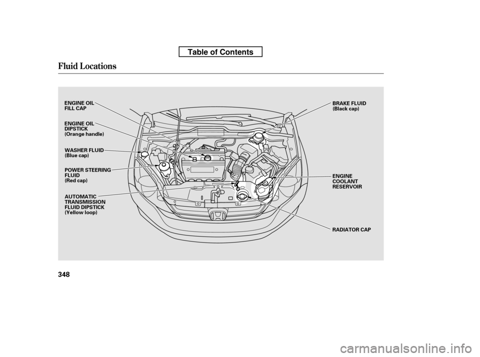 HONDA CR-V 2010 RD1-RD5, RE7 / 3.G Owners Manual Fluid Locations
348
ENGINE OIL 
FILL CAPPOWER STEERINGFLUID
(Red cap) ENGINE
COOLANT
RESERVOIR
RADIATOR CAP
WASHER FLUID
(Blue cap) 
AUTOMATIC 
TRANSMISSION
FLUID DIPSTICK
(Yellow loop)
ENGINE OIL
DIP