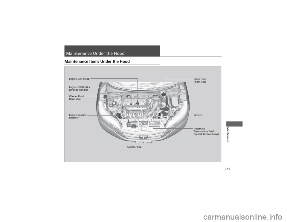 HONDA CR-V 2012 RM1, RM3, RM4 / 4.G Owners Manual 273
Maintenance
Maintenance Under the Hood
Maintenance Items Under the Hood
Brake Fluid  
(Black Cap)
Engine Coolant 
Reservoir Radiator Cap
Washer Fluid 
(Blue Cap)
Engine Oil Dipstick 
(Orange Handl